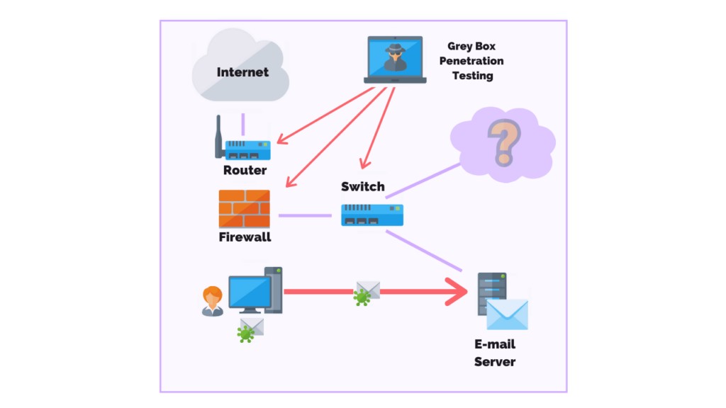 grey box penetration testing
